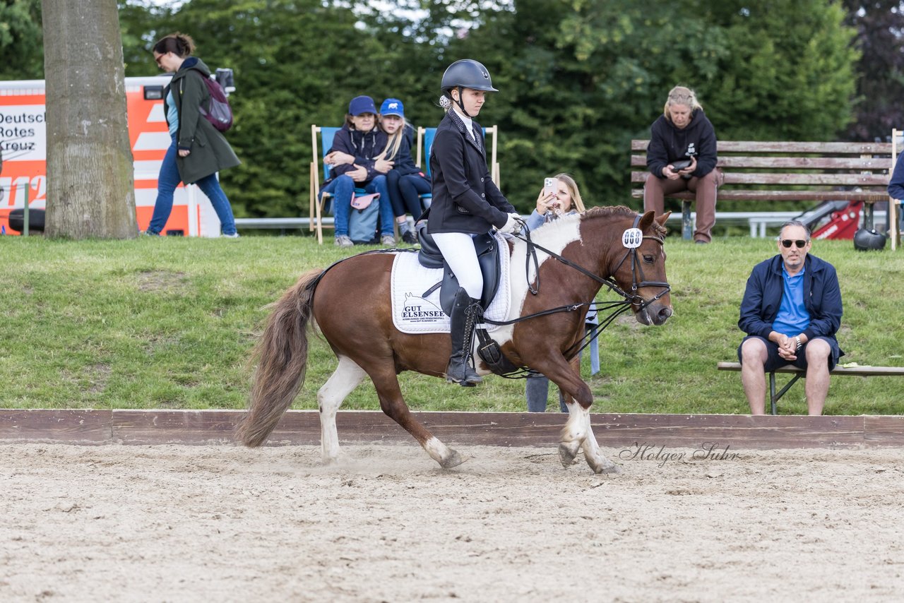 Bild 308 - Pony Akademie Turnier